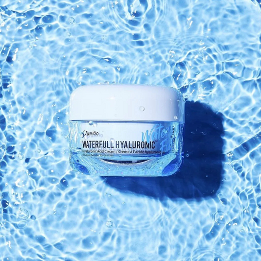 Waterfull Hyaluronic Cream (50ml)